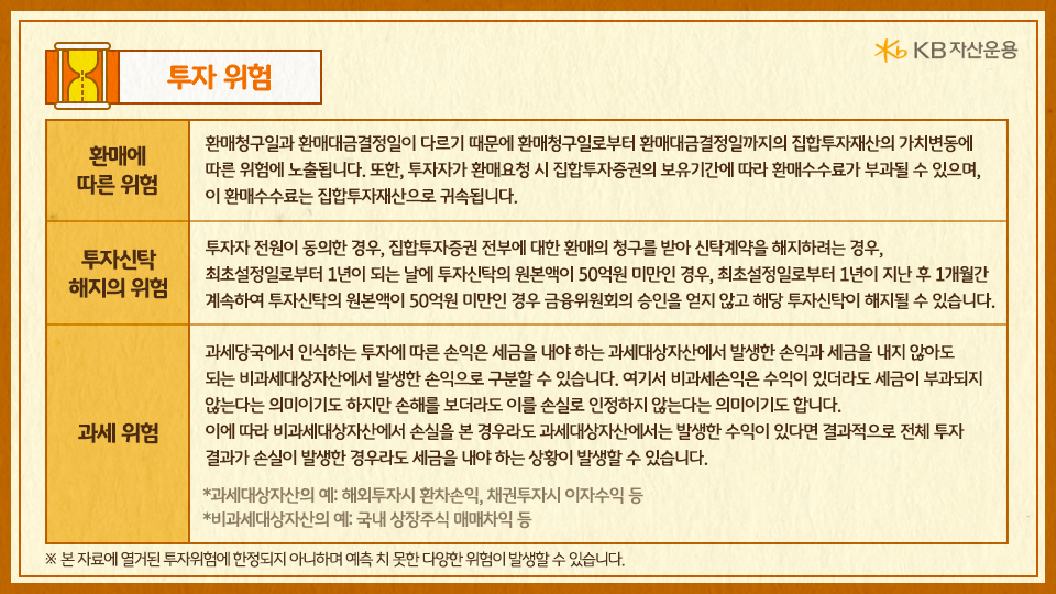 'kb 장기 국공채 플러스'의 주요 투자 위험 요소들.